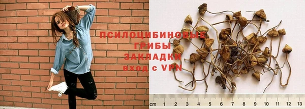 прущие крисы Арсеньев