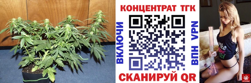 KRAKEN ссылка  Полысаево  ТГК концентрат 