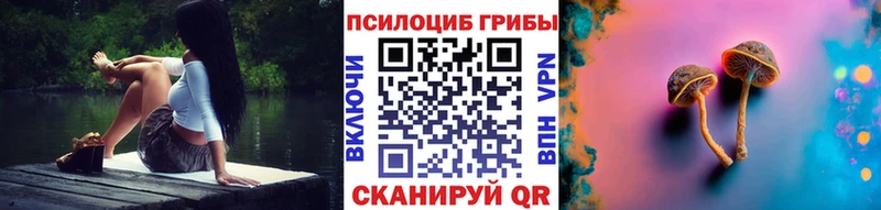 цены наркотик  Полысаево  Псилоцибиновые грибы Cubensis 