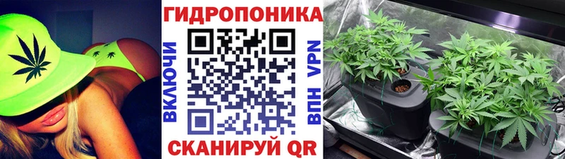 Шишки марихуана ГИДРОПОН Полысаево